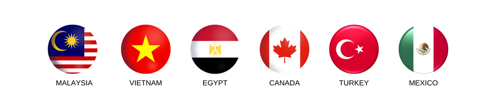 Flag Template June