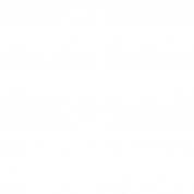 Icon 1-1